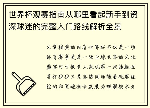 世界杯观赛指南从哪里看起新手到资深球迷的完整入门路线解析全景
