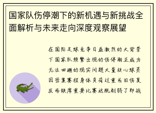 国家队伤停潮下的新机遇与新挑战全面解析与未来走向深度观察展望